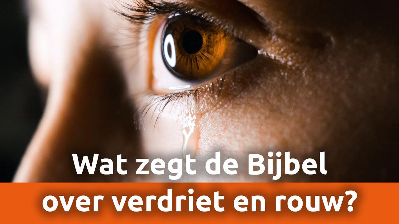 Wat zegt de Bijbel over verdriet en rouw?