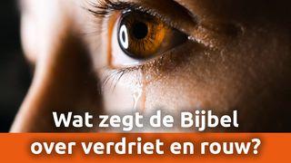 Wat zegt de Bijbel over verdriet en rouw?