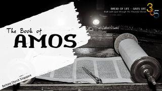 Book of Amos