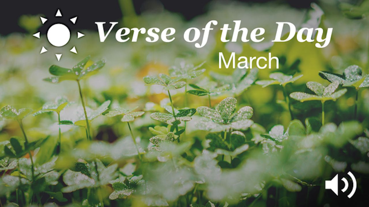 YouVersion Verse Of The Day: March 2016