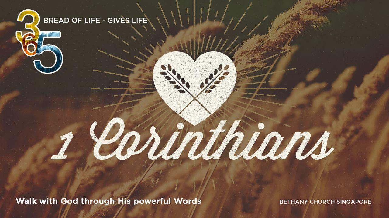 Book of 1 Corinthians