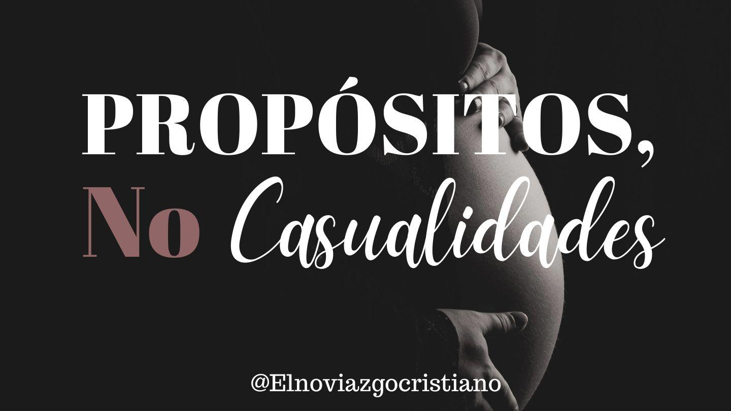 Propósitos, no casualidades S. PAVLO A TITO. 2:13-14 Biblia del Oso 1573