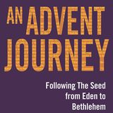Advent Journey - Following the Seed From Eden to Bethlehem 