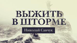 Выжить в шторме