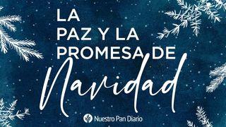 La paz y la promesa de la Navidad.