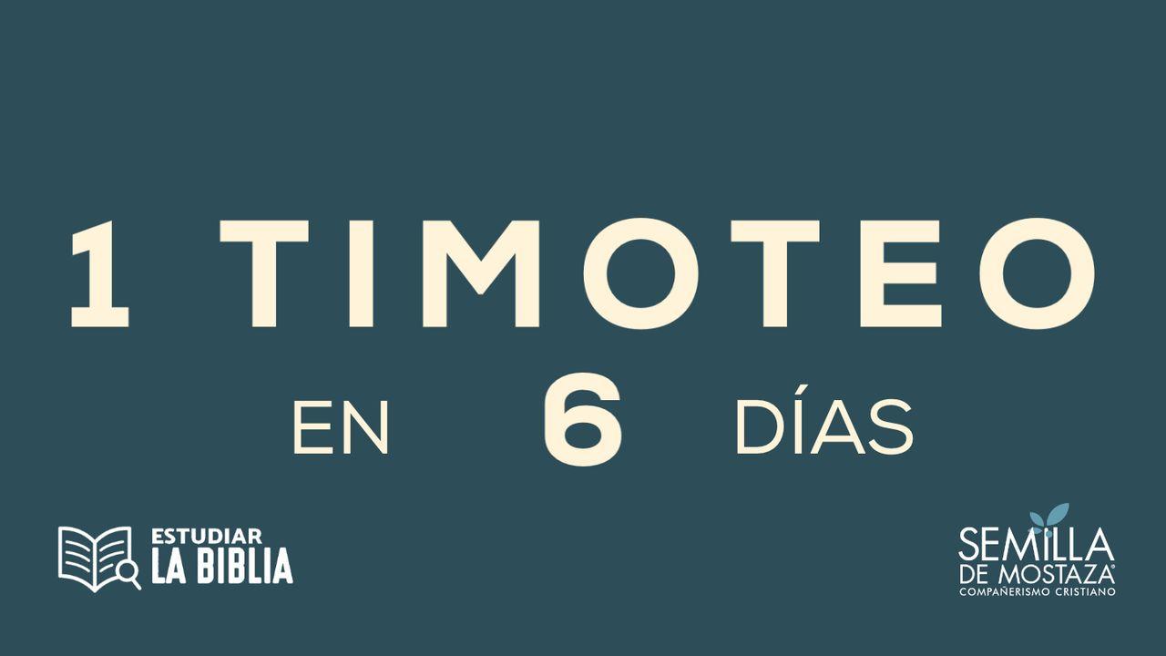 Estudiar la Biblia - 1 Timoteo en 6 Días