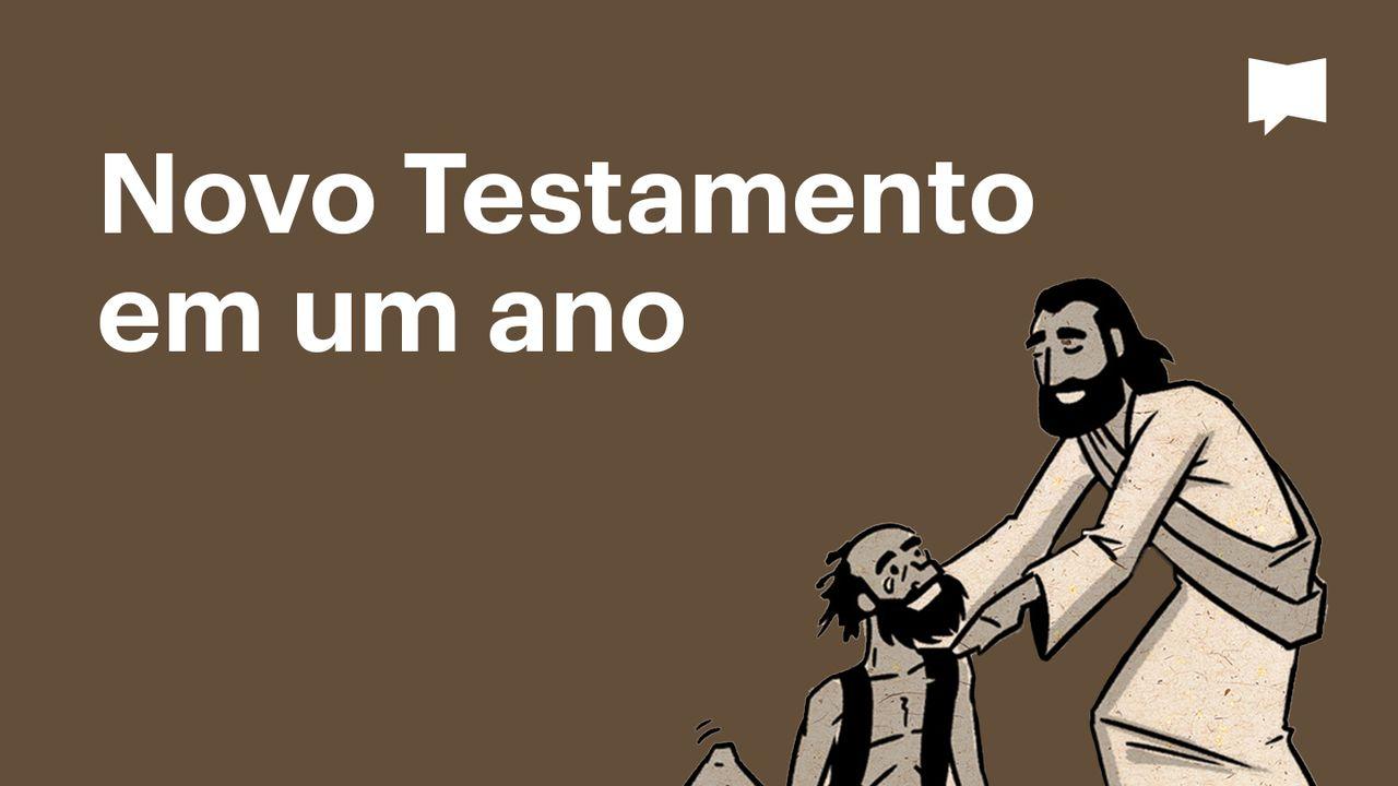 BibleProject | Novo Testamento em um ano