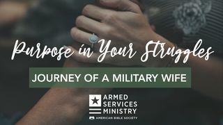 Purpose in Your Struggles
