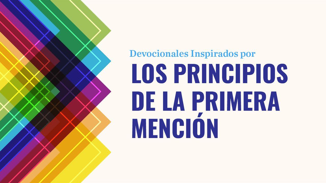 Los Principios De La Primera Mención