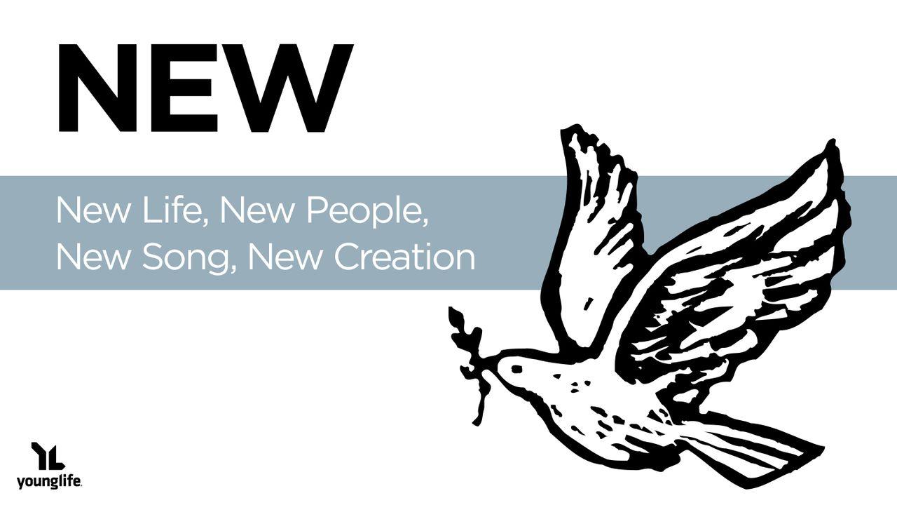 New: New Life, New People, New Song, New Creation