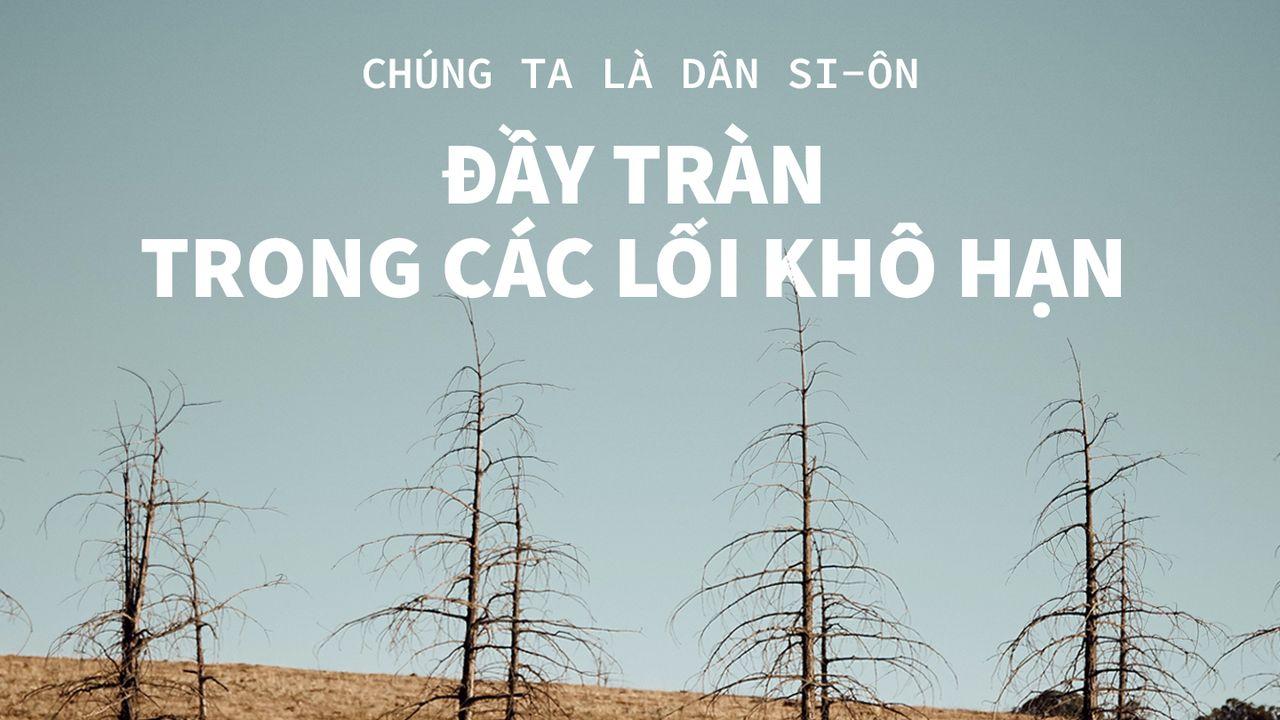 ĐẦY TRÀN TRONG CÁC LỐI KHÔ HẠN