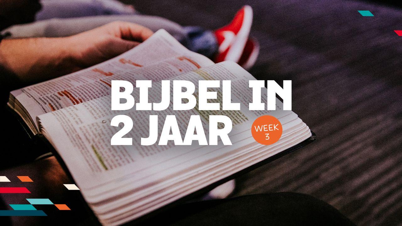 Bijbel in twee jaar - week 3