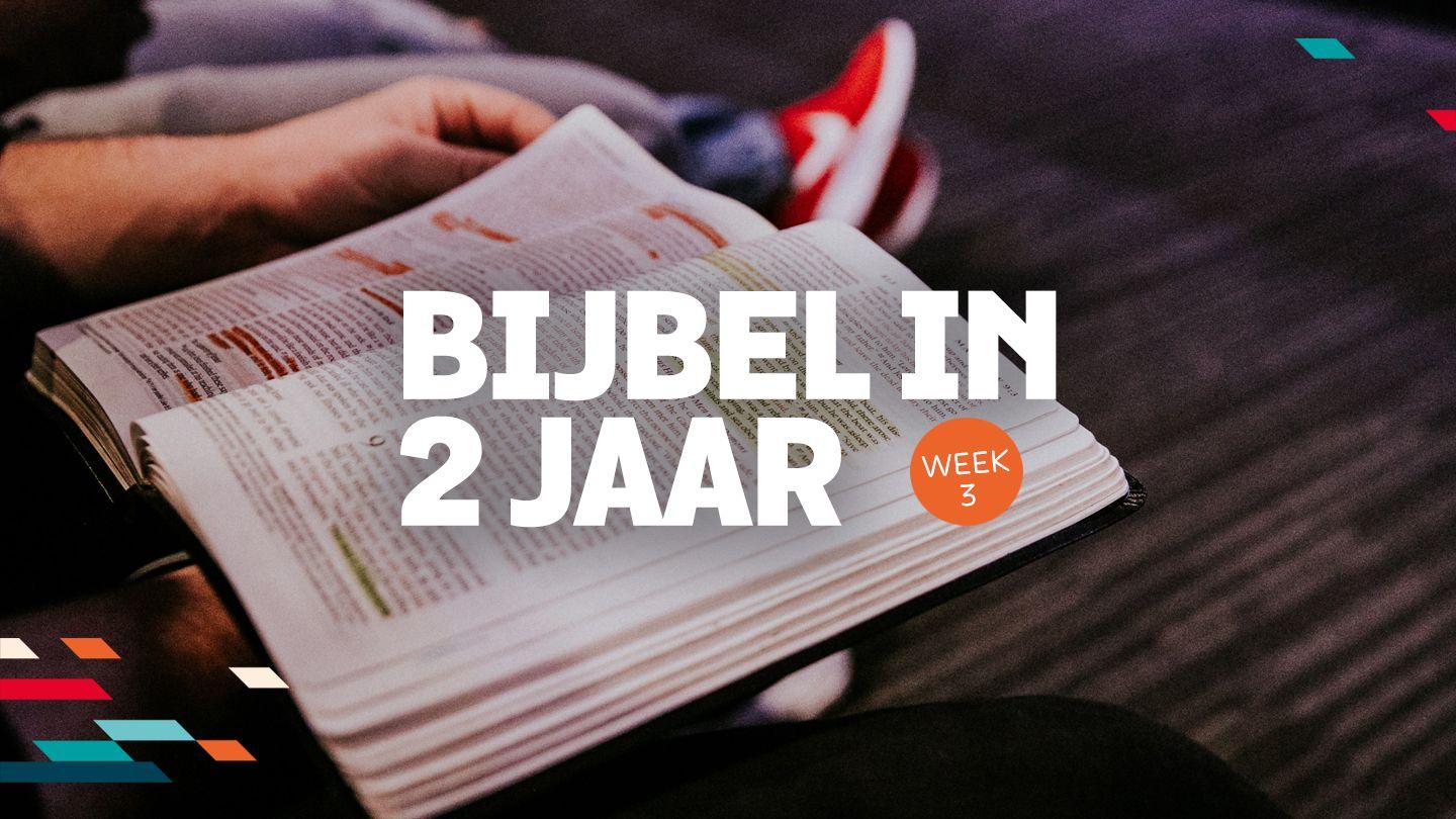 Bijbel in twee jaar - week 3 ମାତିଉ 10:34 ସତିଅର୍‌ ବାଟ୍‌, ନୁଆ ନିୟମ୍‌, 2020