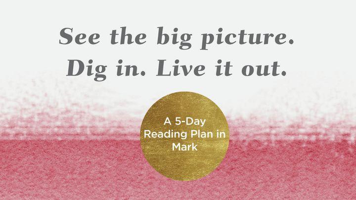 See the Big Picture. Dig In. Live It Out: A 5-Day Reading Plan in Mark