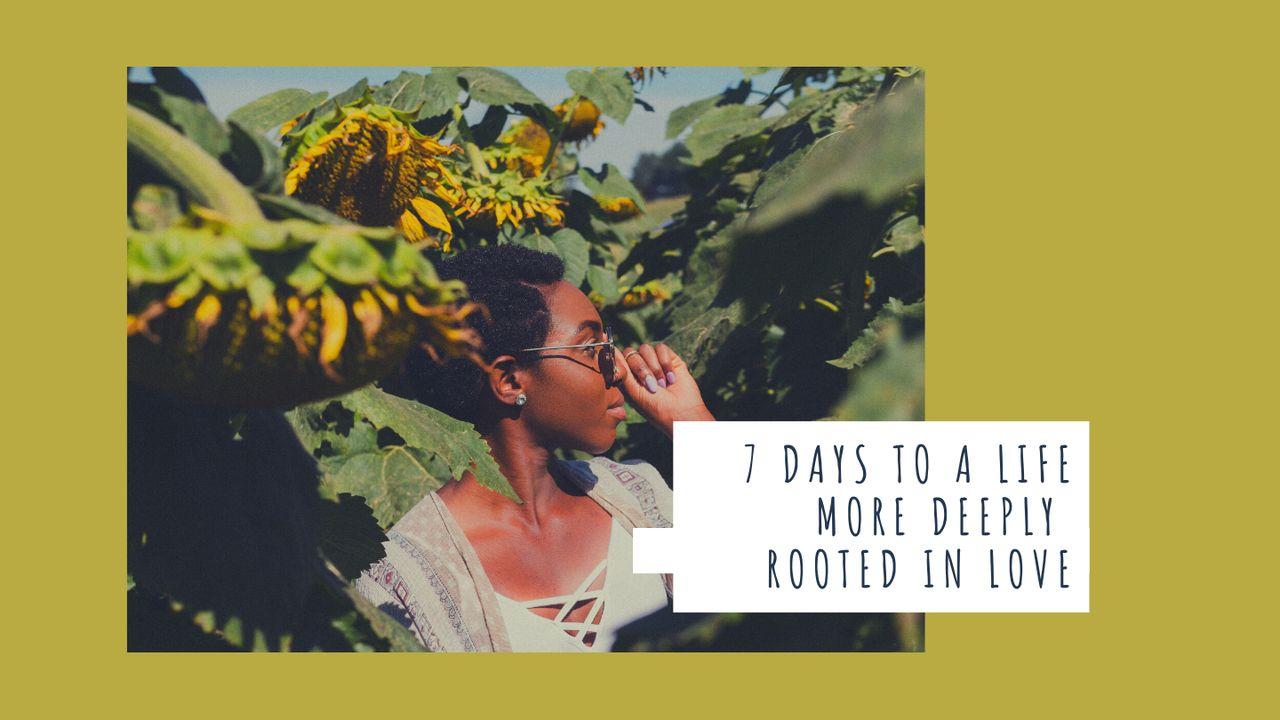 7 Days to a Life More Deeply Rooted in Love