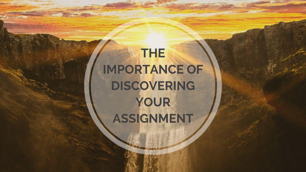 The Importance of Discovering Your Assignment 