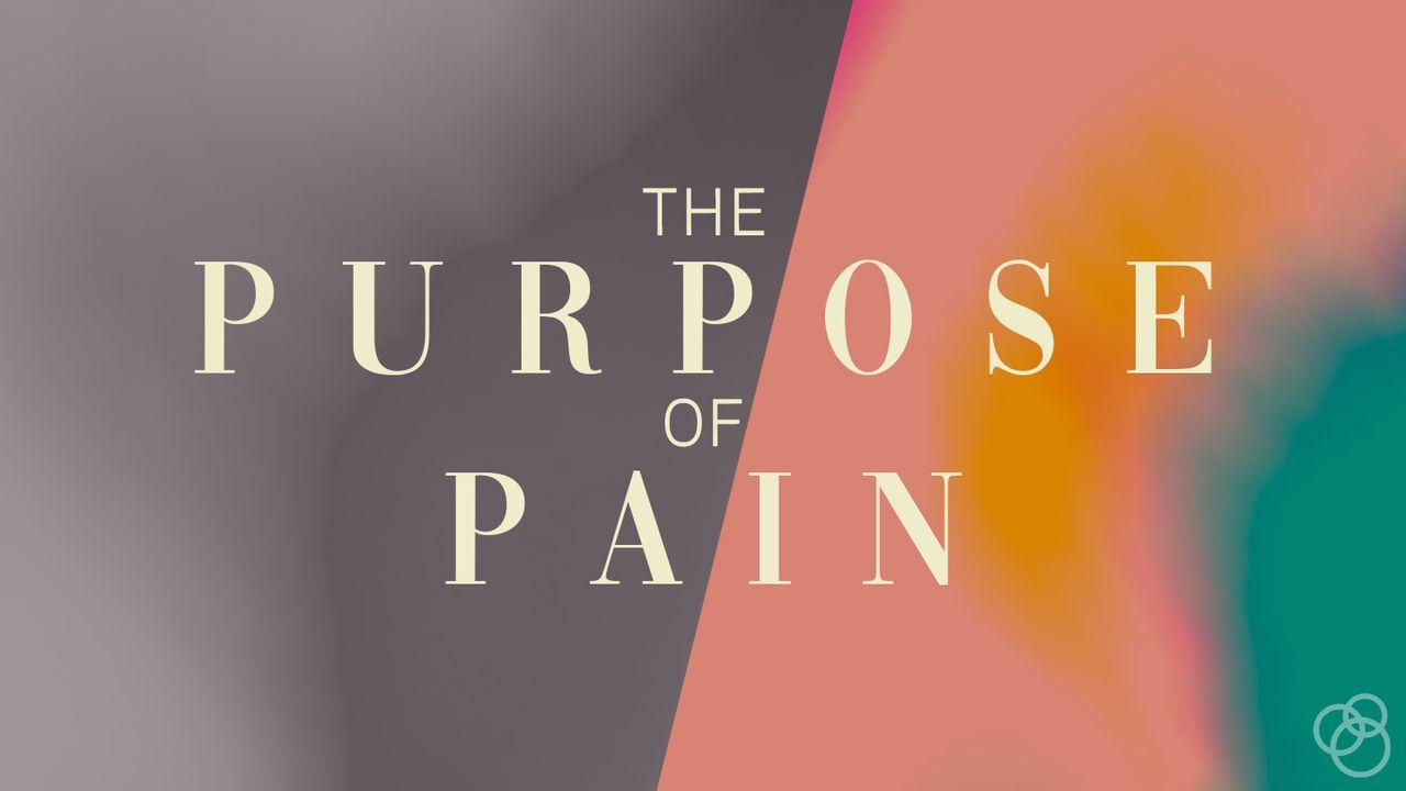 The Purpose of Pain