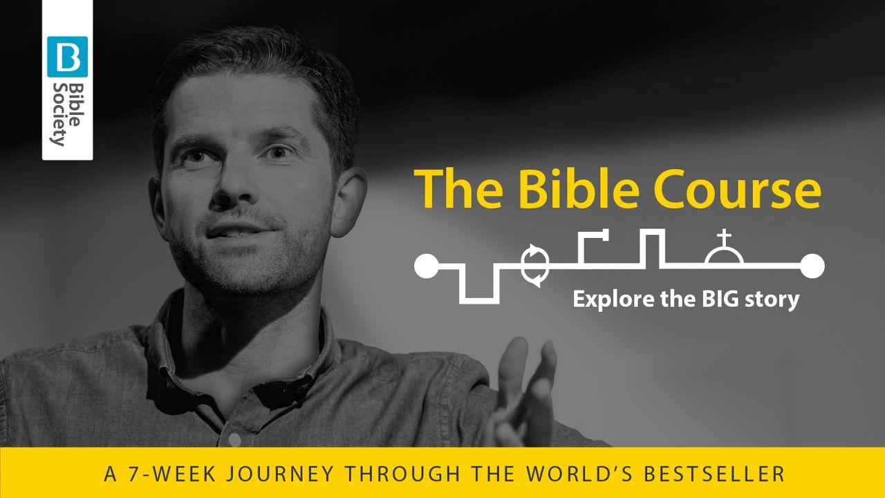 The Bible Course 