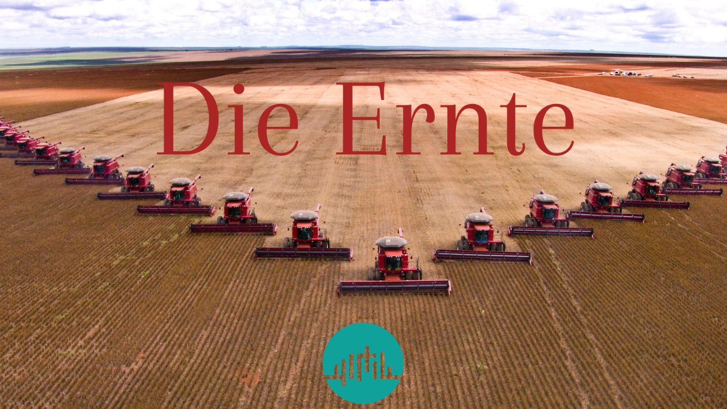 Die Ernte Philipper 3:7-10 Lutherbibel 1912
