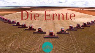 Die Ernte