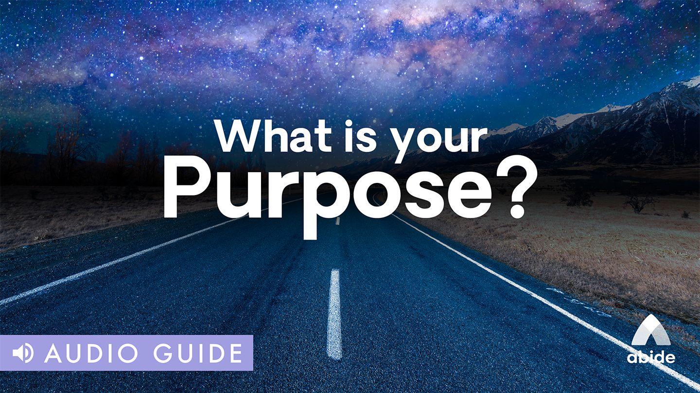 What Is Your Purpose? 2 Corintios 10:18 Biblia Reina Valera 1960