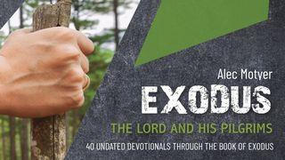 Exodus: The Lord and His Pilgrims