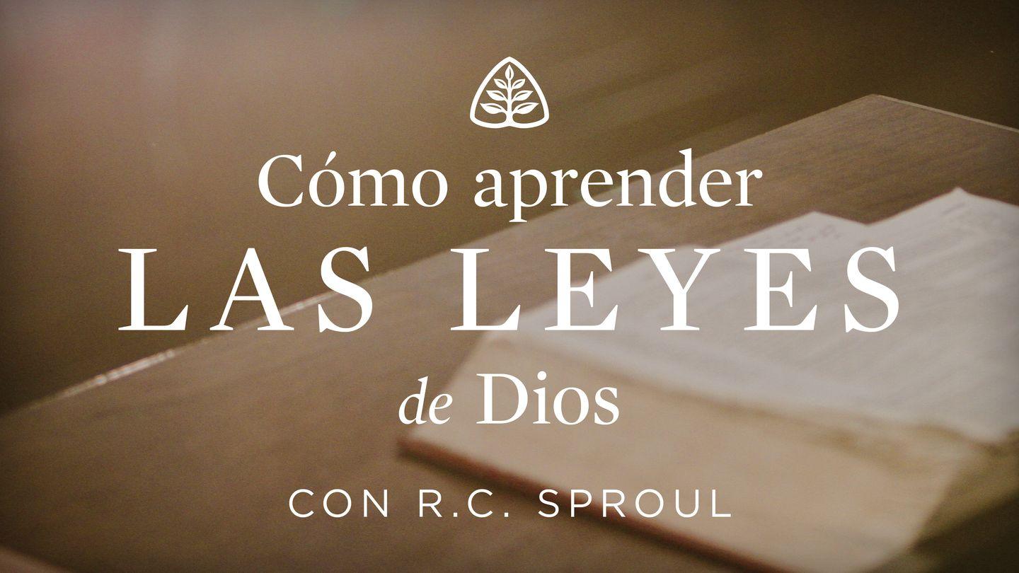 Cómo aprender las leyes de Dios Santiago 4:17 Reina Valera Actualizada