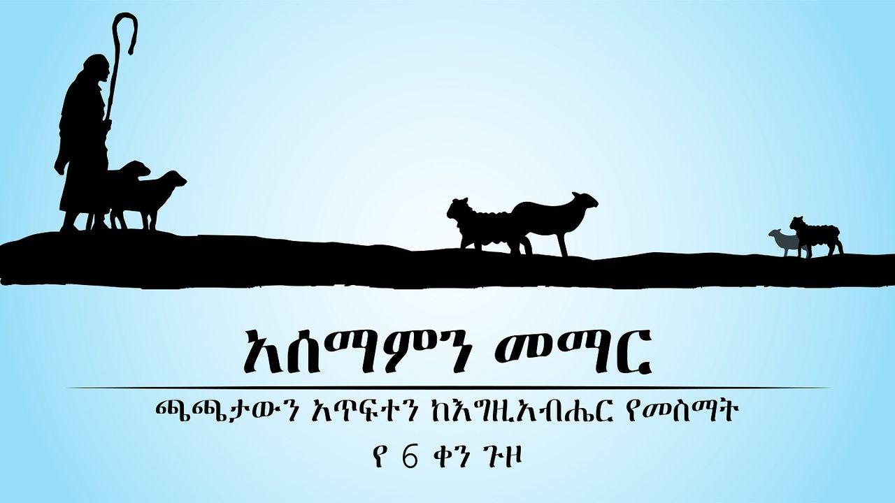 አሰማምን መማር