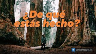 ¿De Qué Estás Hecho? LUKA 20:25 Pere New Testament