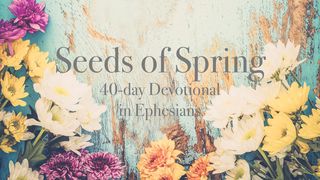 Семена Весны: 40-дневное путешествие женщины
