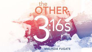 The Other Three Sixteens: Finding God's Love in Scripture 1 John 3:16-20 New Century Version