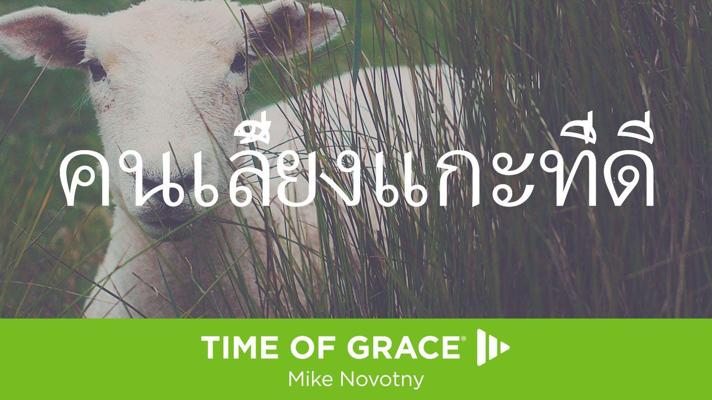 คนเลี้ยงแกะที่ดี Matthew 18:12 Testament Newydd a'r Salmau 1567 (William Salesbury)