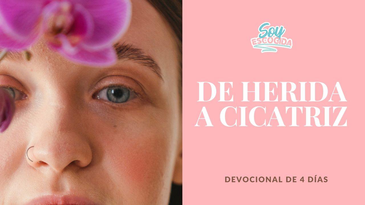De Herida a Cicatriz