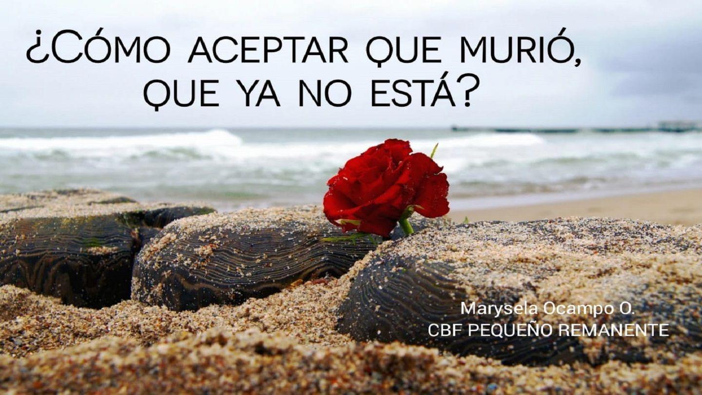 ¿Cómo Aceptar Que Murió, Que Ya No Está? Lucas 12:17-20 Nueva Traducción Viviente