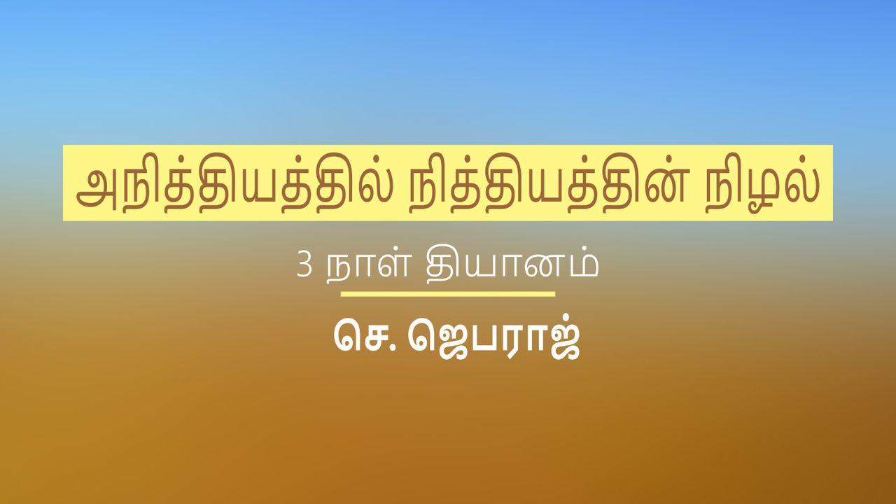 அநித்தியத்தில் நித்தியத்தின் நிழல்