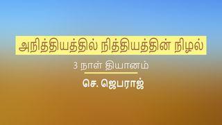 அநித்தியத்தில் நித்தியத்தின் நிழல்