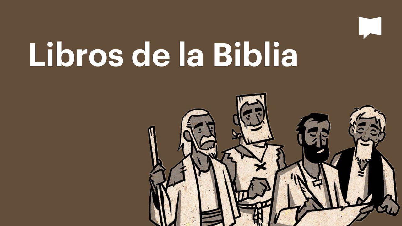 Proyecto Biblia | Libros de la Biblia