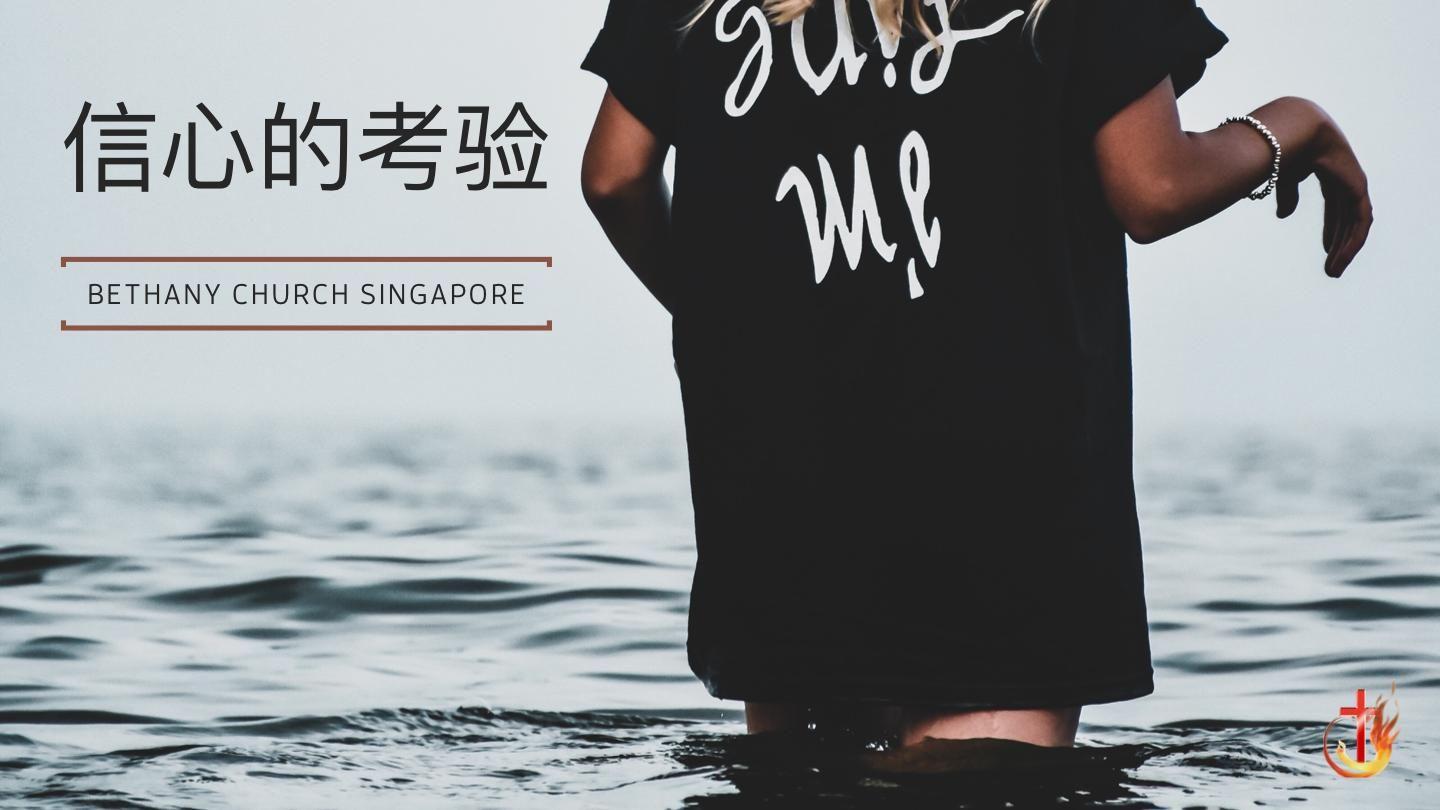 信心的考验 罗马书 1:24-25 新译本