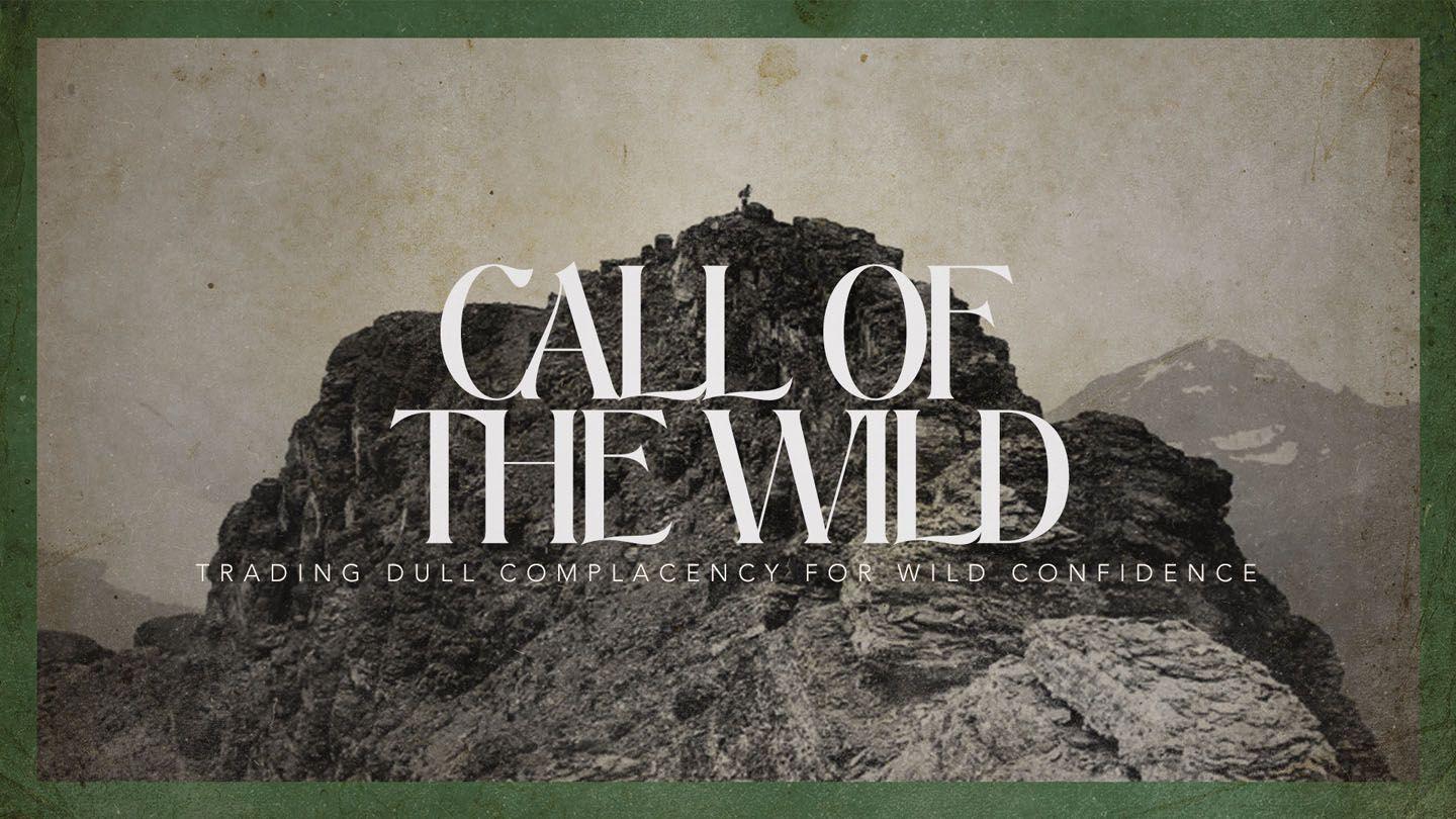 Call of the Wild:  a Journey Through the Book of James Jakobus 3:1-17 Die Bybel 2020-vertaling