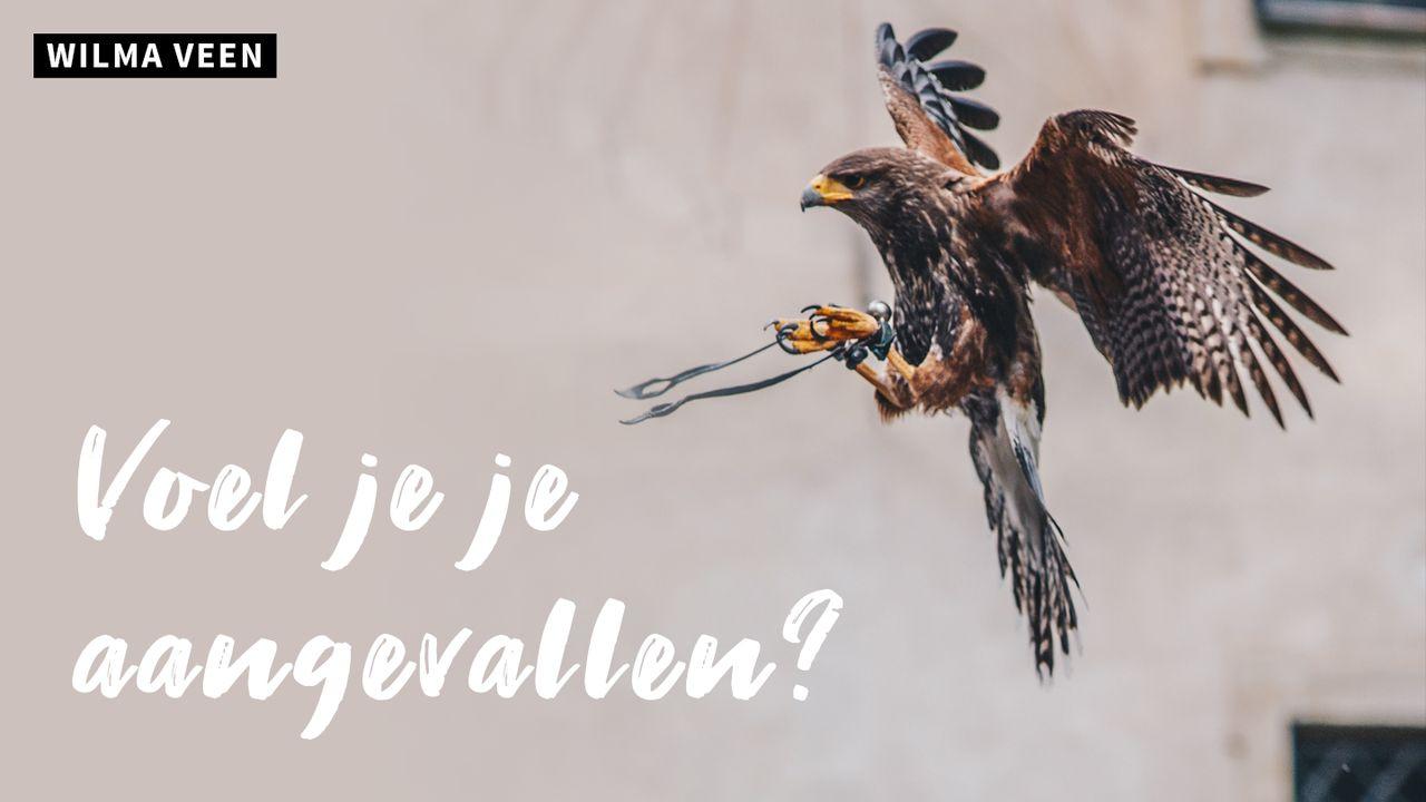 Voel Je Je Aangevallen?