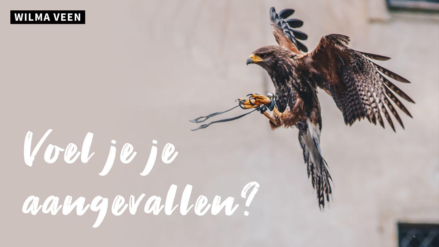 Voel Je Je Aangevallen? Richteren 6:11-18 Herziene Statenvertaling