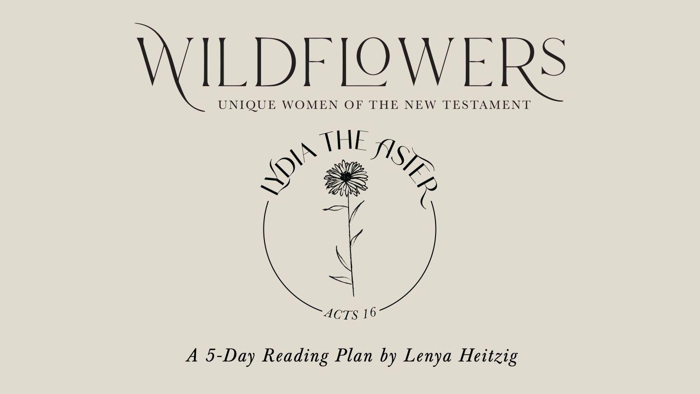Wildflowers: Lydia the Aster Acts 16:25-33 King James Version