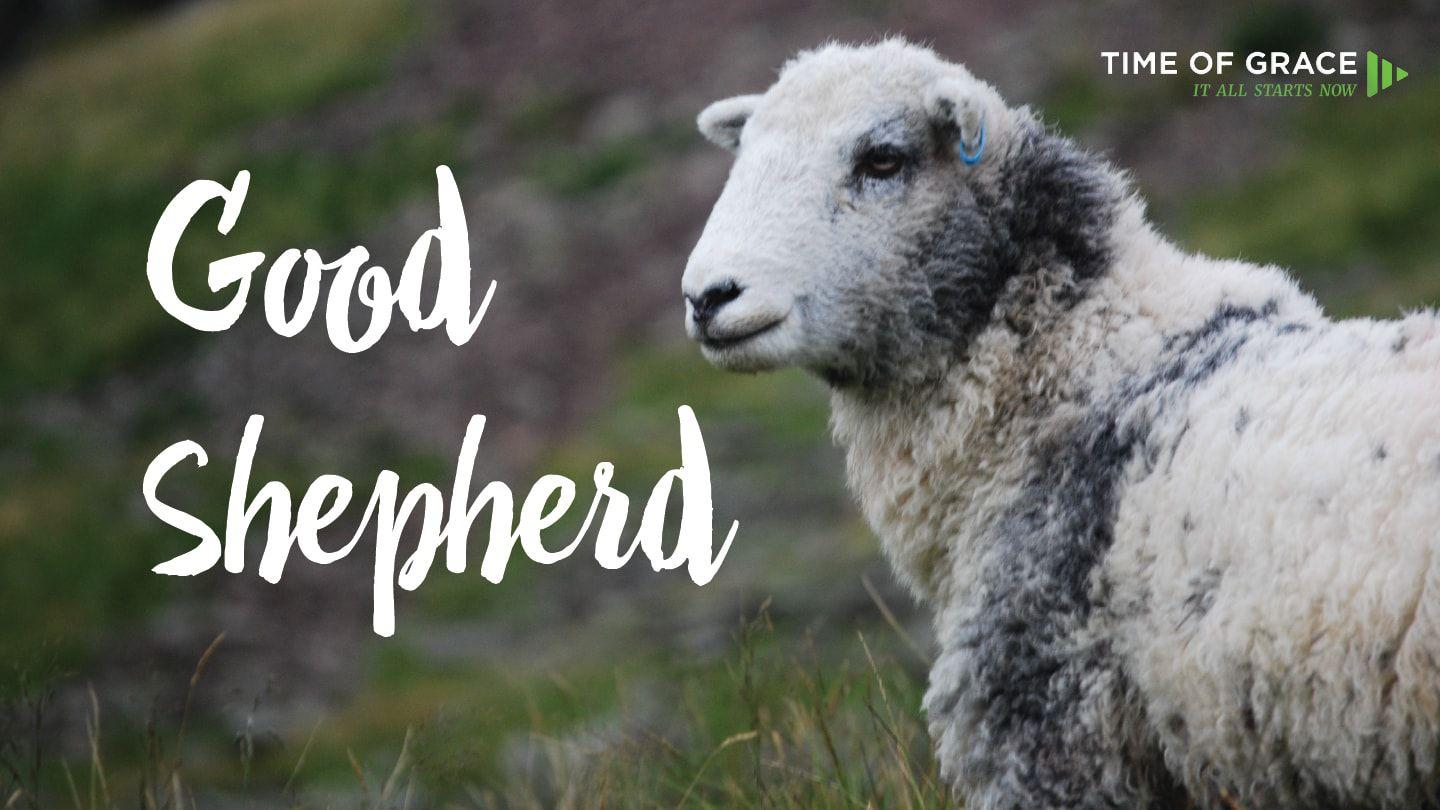 Our Good Shepherd