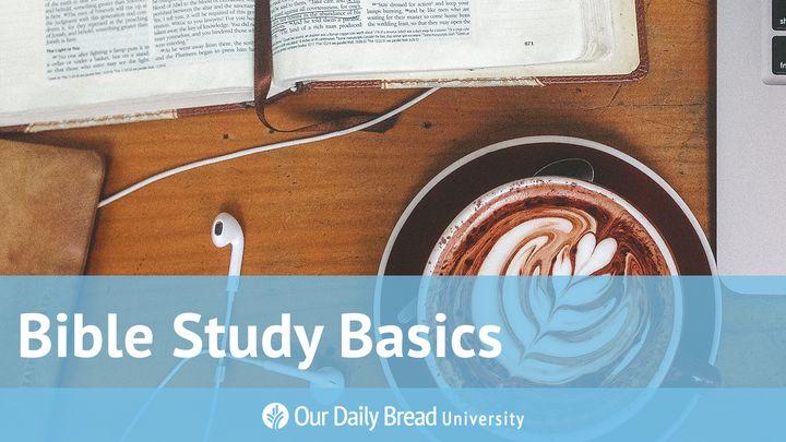 Our Daily Bread University - Bible Study Basics