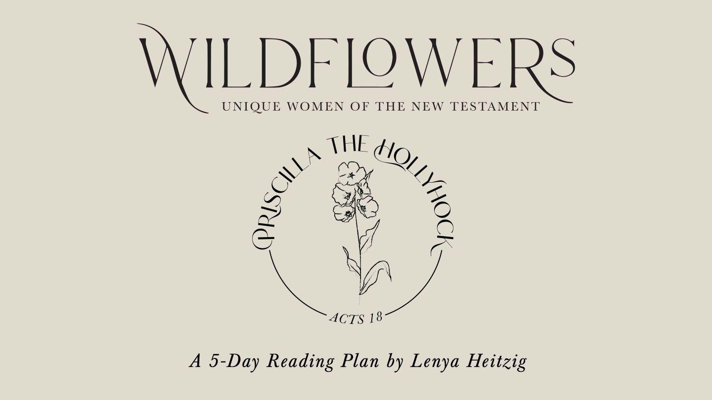 Wildflowers Week Four | Priscilla the Hollyhock  Acts 18:18 New International Version