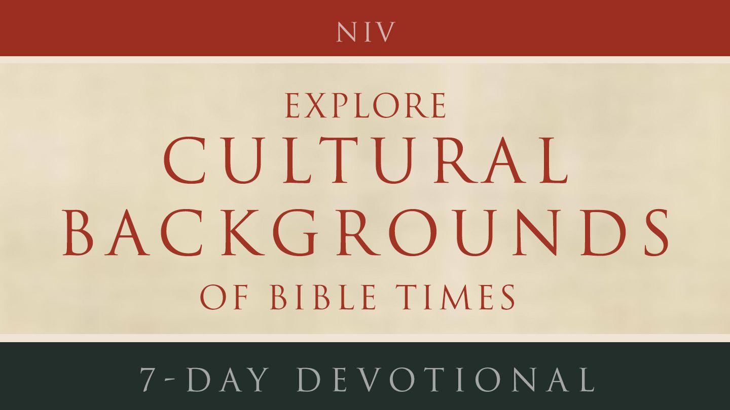 Explore Cultural Backgrounds Of Bible Times  Proverbs 8:11 New Revised Standard Version