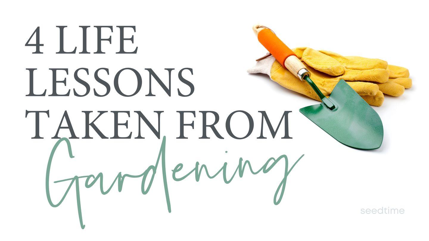 4 Biblical Lessons From Your Garden  Жохан 12:24 Киелі кітап