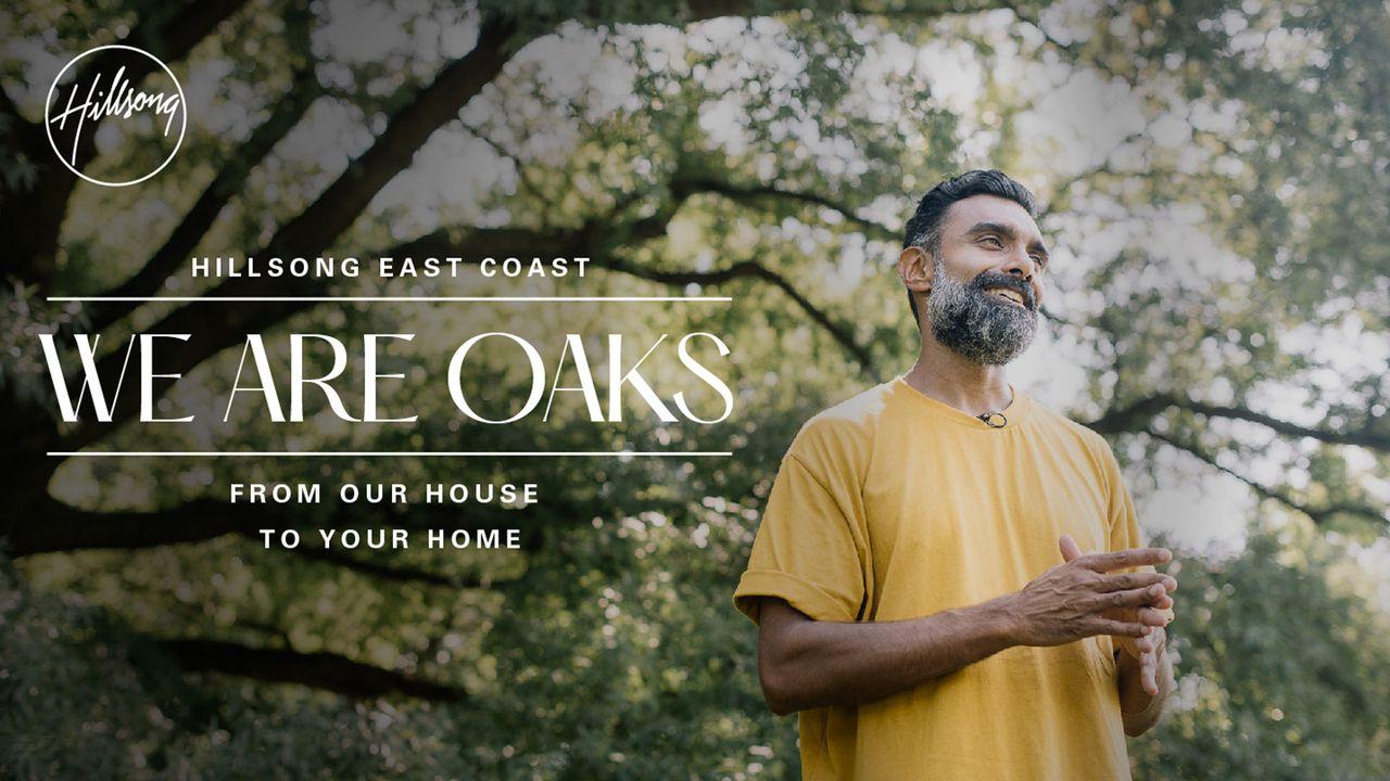We Are Oaks
