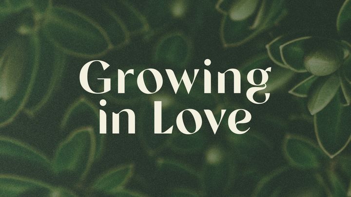 Om in Liefde te Groei
