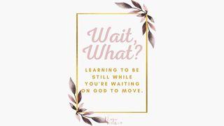 Wait, What? Learning to Be Still, While You’re Waiting on God to Move 民数记 13:28-29 新译本